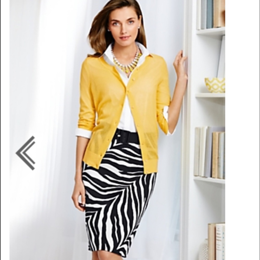 TALBOTS  ZEBRA SKIRT CUT ON THE BIASE